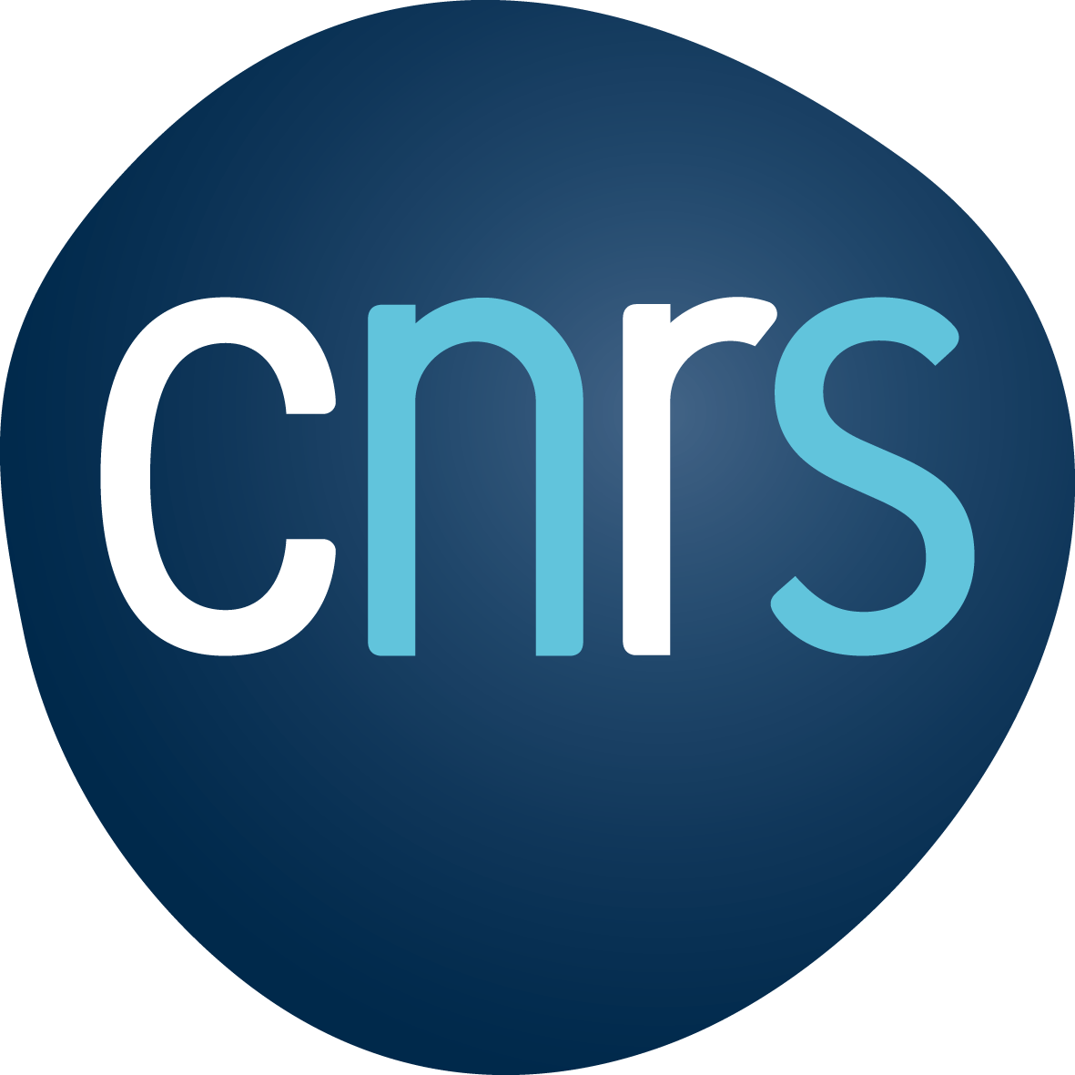 Logo CNRS_2019
